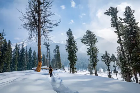 Kashmir Bliss: 6 Days of Scenic Beauty & Serenity