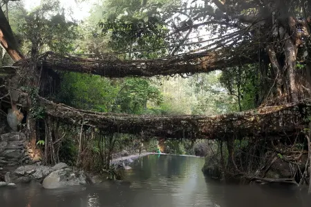 Meghalaya Explorer 6-Day Journey Through Nature’s Paradise