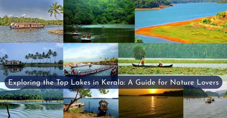 Exploring the Top Lakes in Kerala: Guide for Nature Lovers