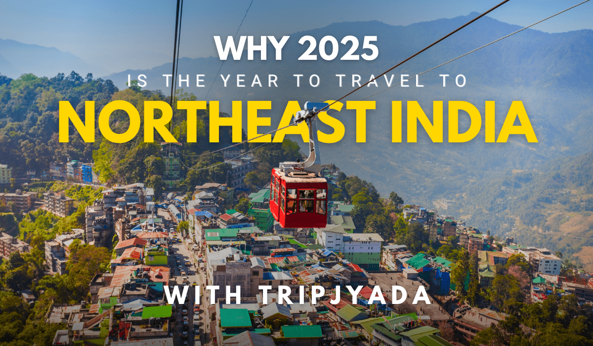 Why 2025 is the Year to Travel to Northeast India with Tripjyada