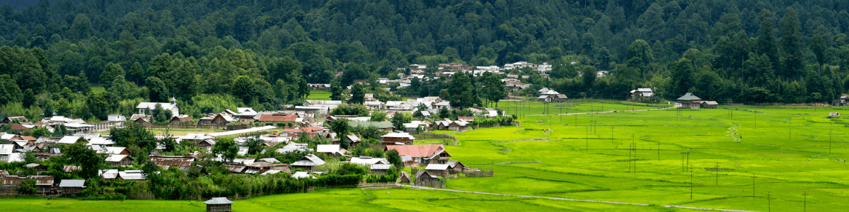 Ziro Valley