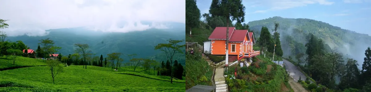 Tinchuley Offbeat Darjeeling
