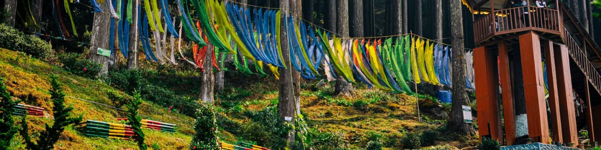 Sittong Offbeat Darjeeling