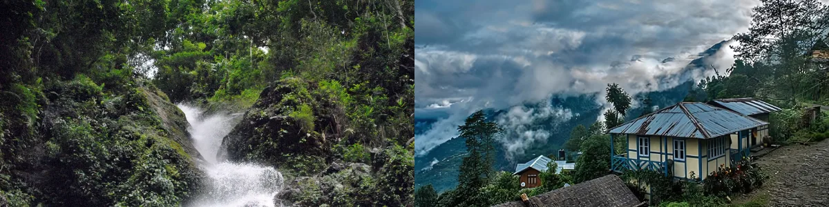 Rimbik Offbeat Darjeeling