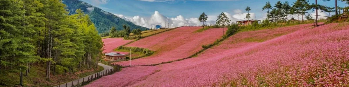 Tang Valley 