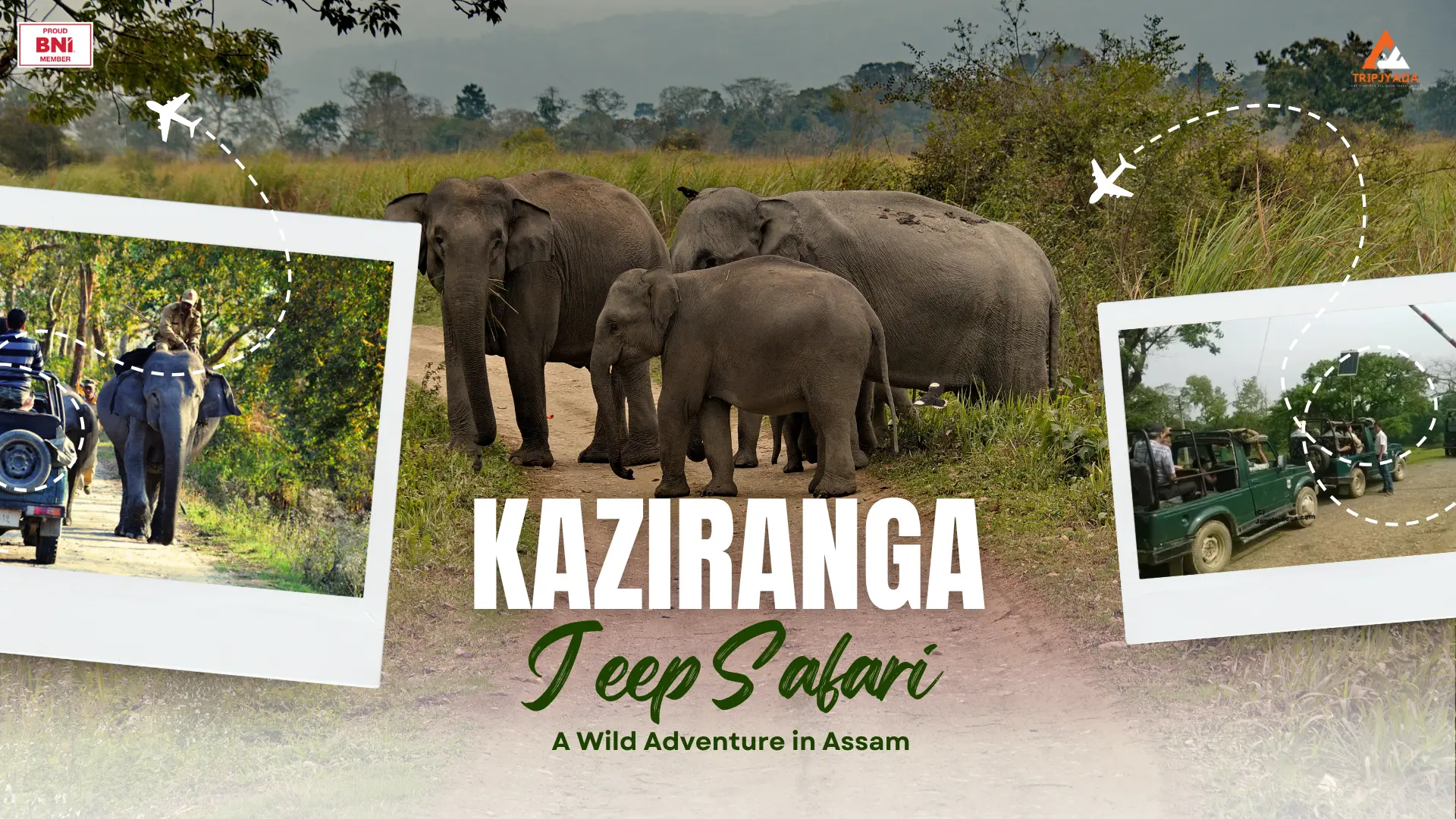 Kaziranga Jeep Safari: The African Safari Experience in India’s Wild East