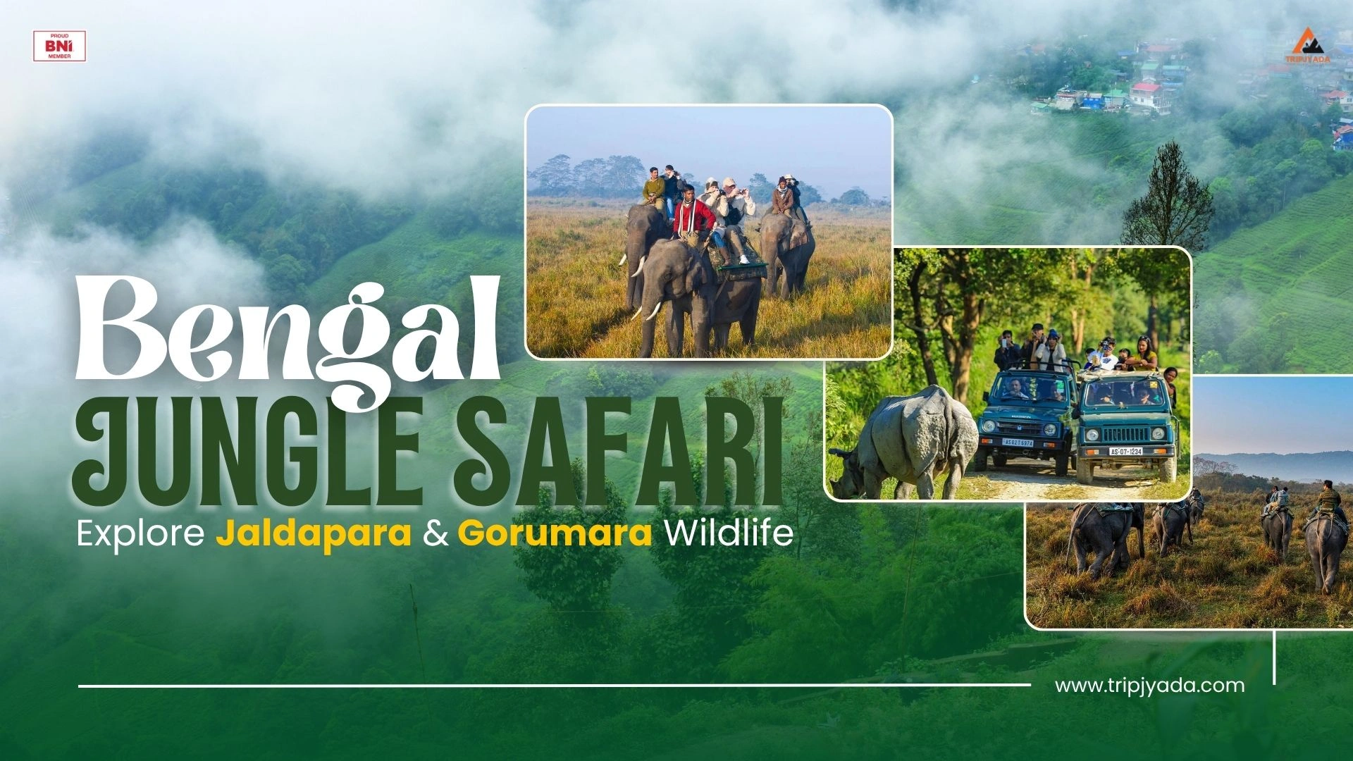Discover Jungle Adventures in Jaldapara, Gorumara & Bengal Safari