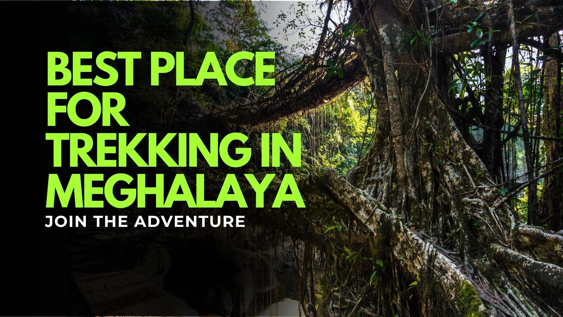 Top Trekking Spots in Meghalaya