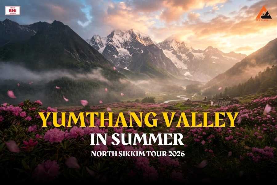 Last Call for Yumthang Bloom: Secure North Sikkim Tour in Summer 2026